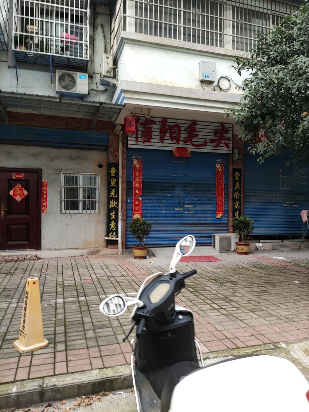 豫俏茶业信阳毛尖(新七大道店)