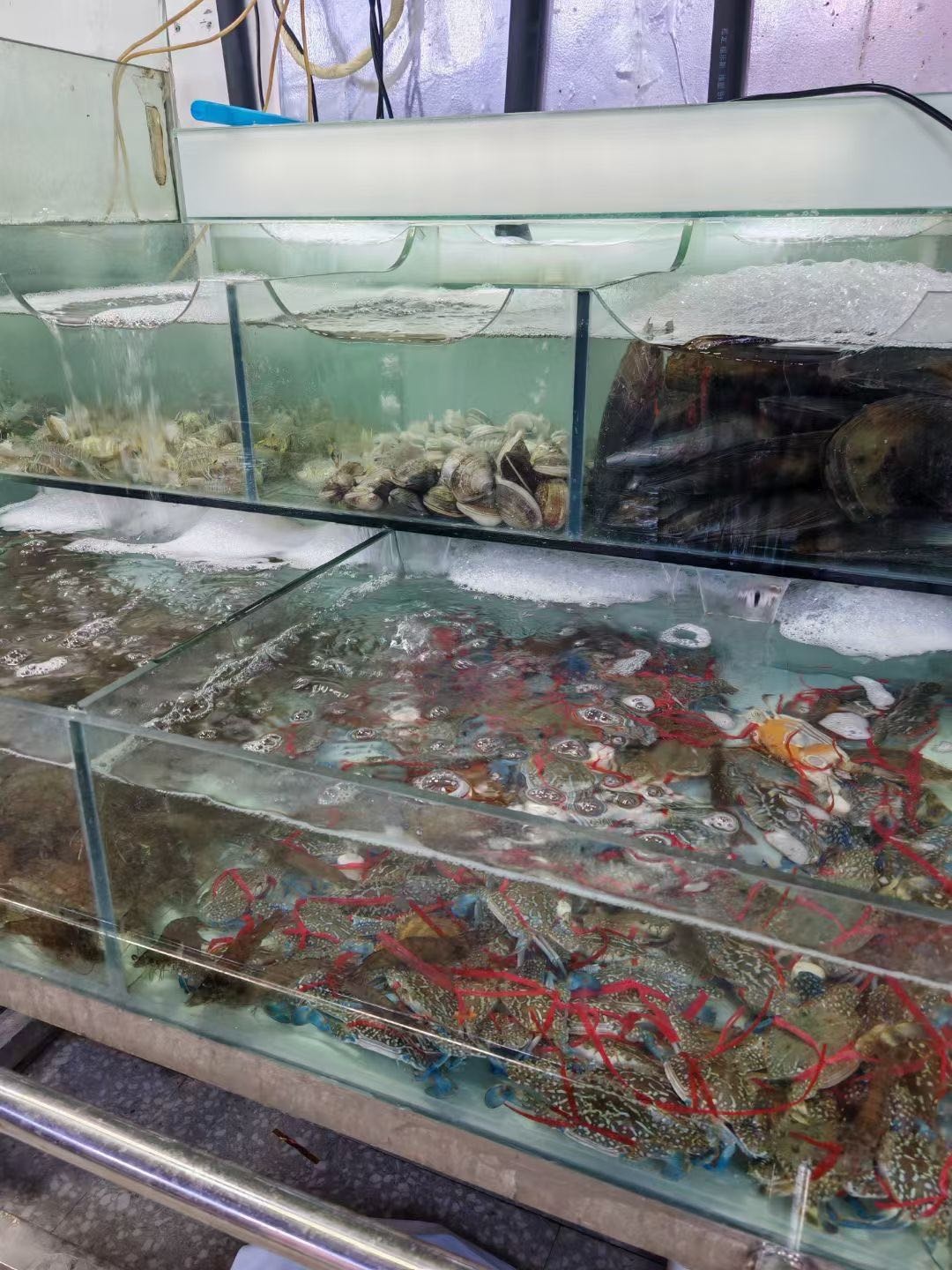 一锅鲜粥底火锅