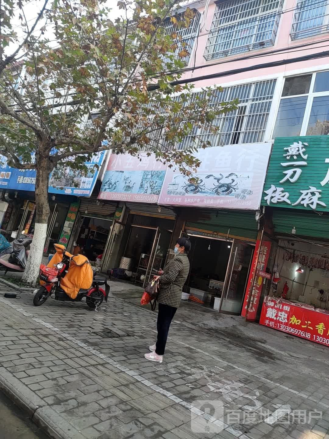 小五鸡行