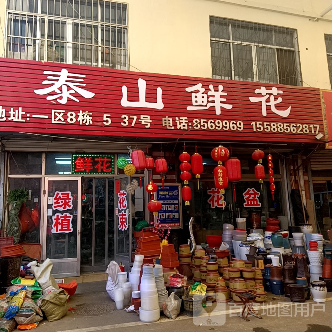 泰山鲜花