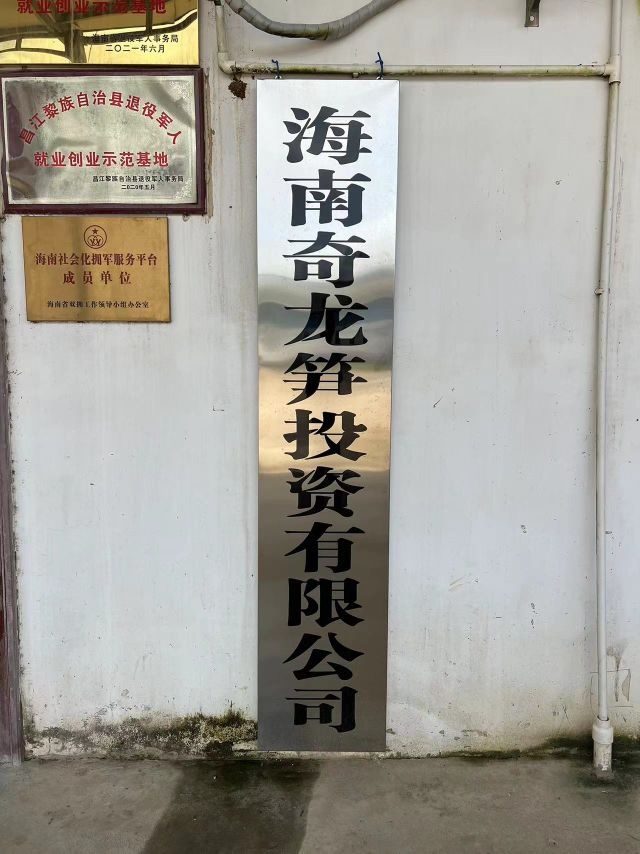 海南奇龙笋投资有限公司