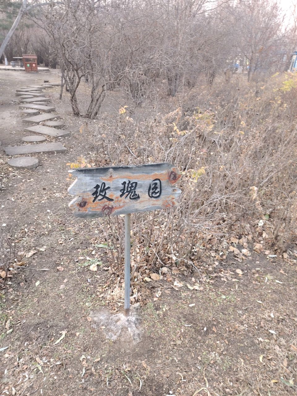 德惠市植物园-玫瑰园