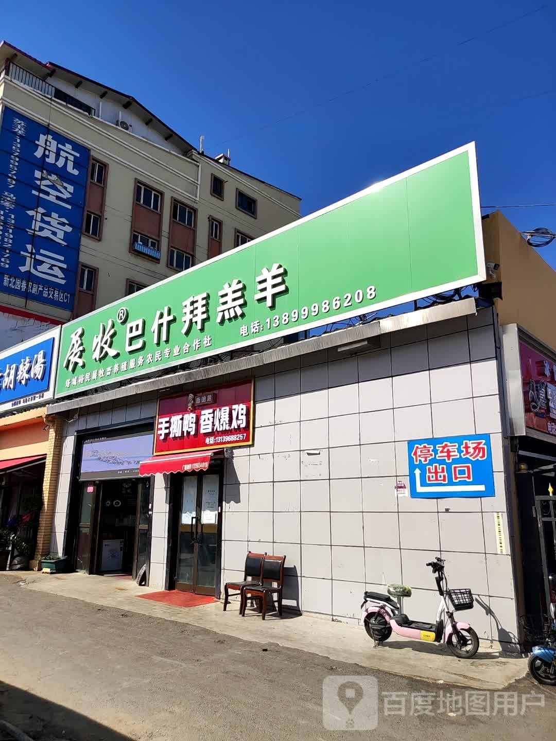 展牧巴什拜羔羊