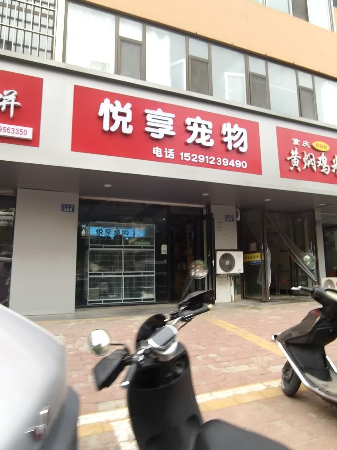 悦享宠物