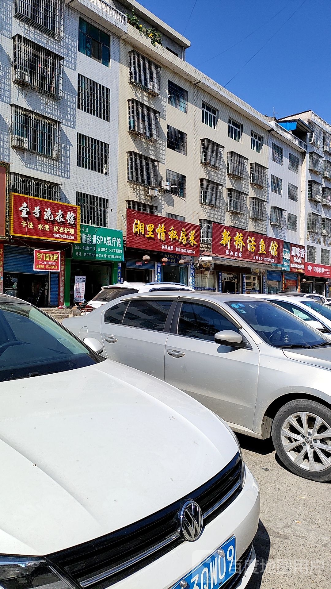 新桥活鱼馆
