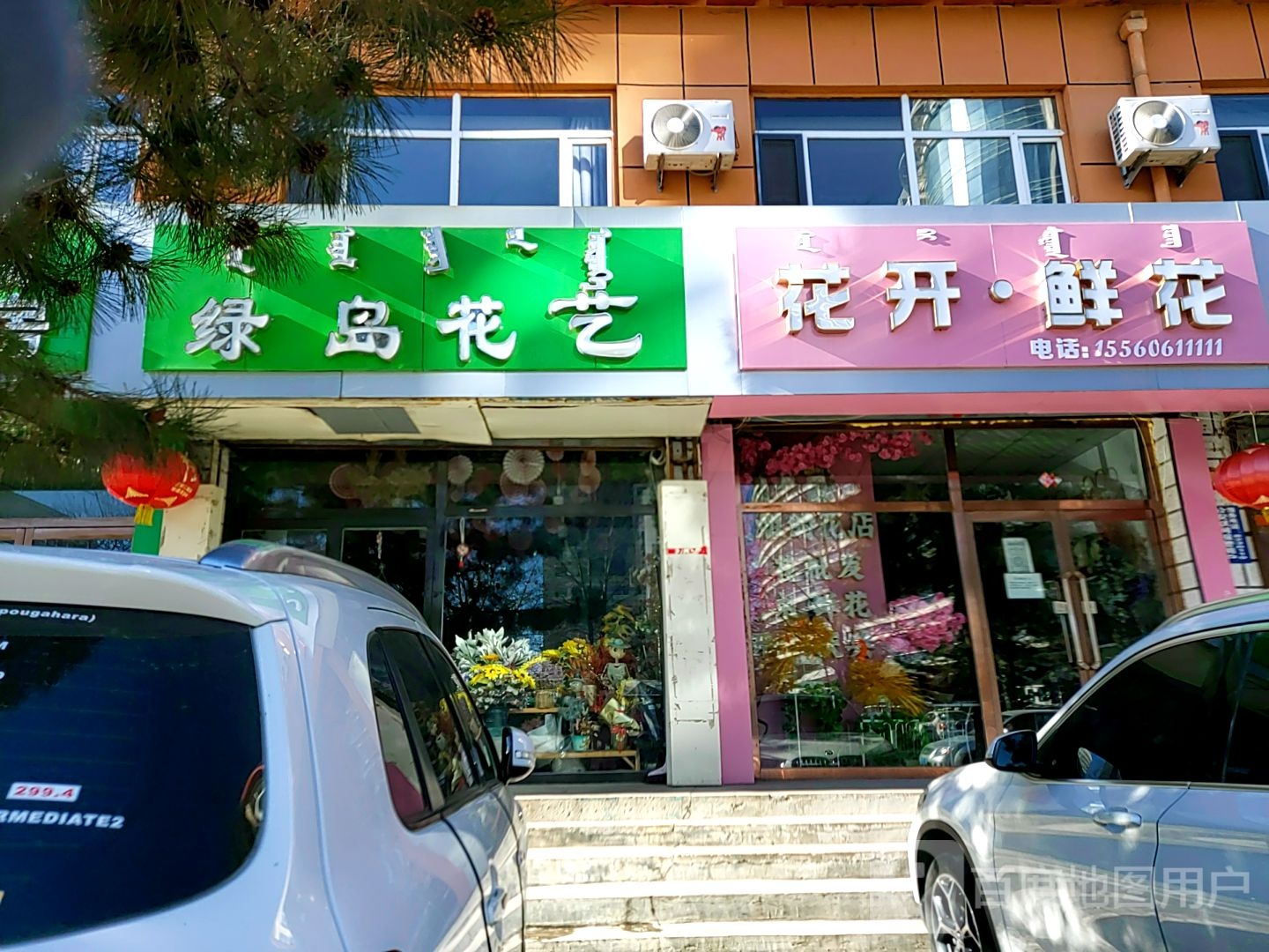 花开鲜花