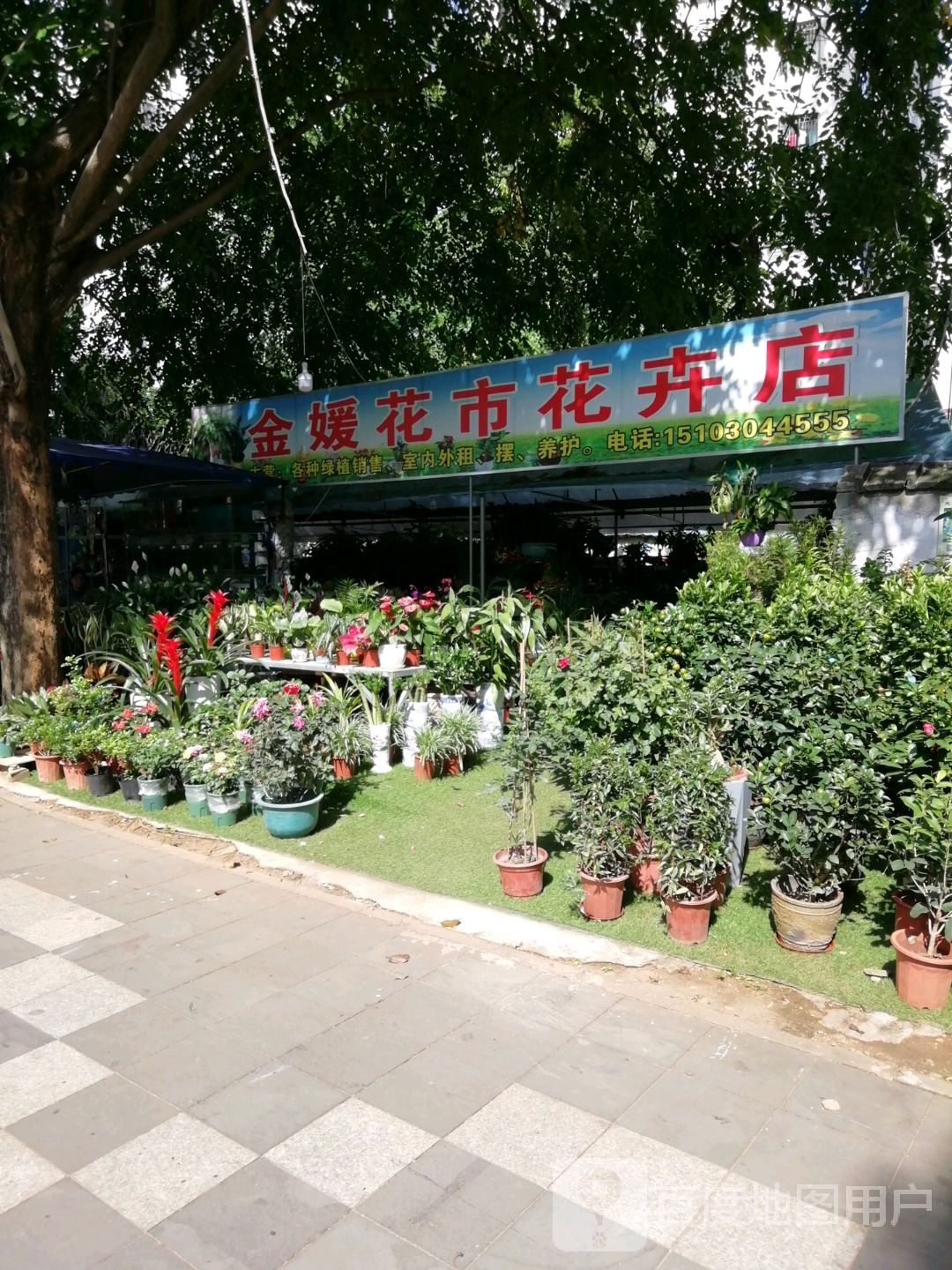 花缘花市花卉店