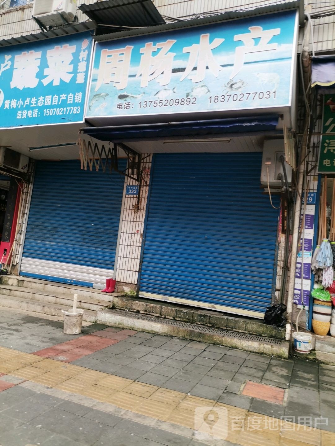 周杨睡产