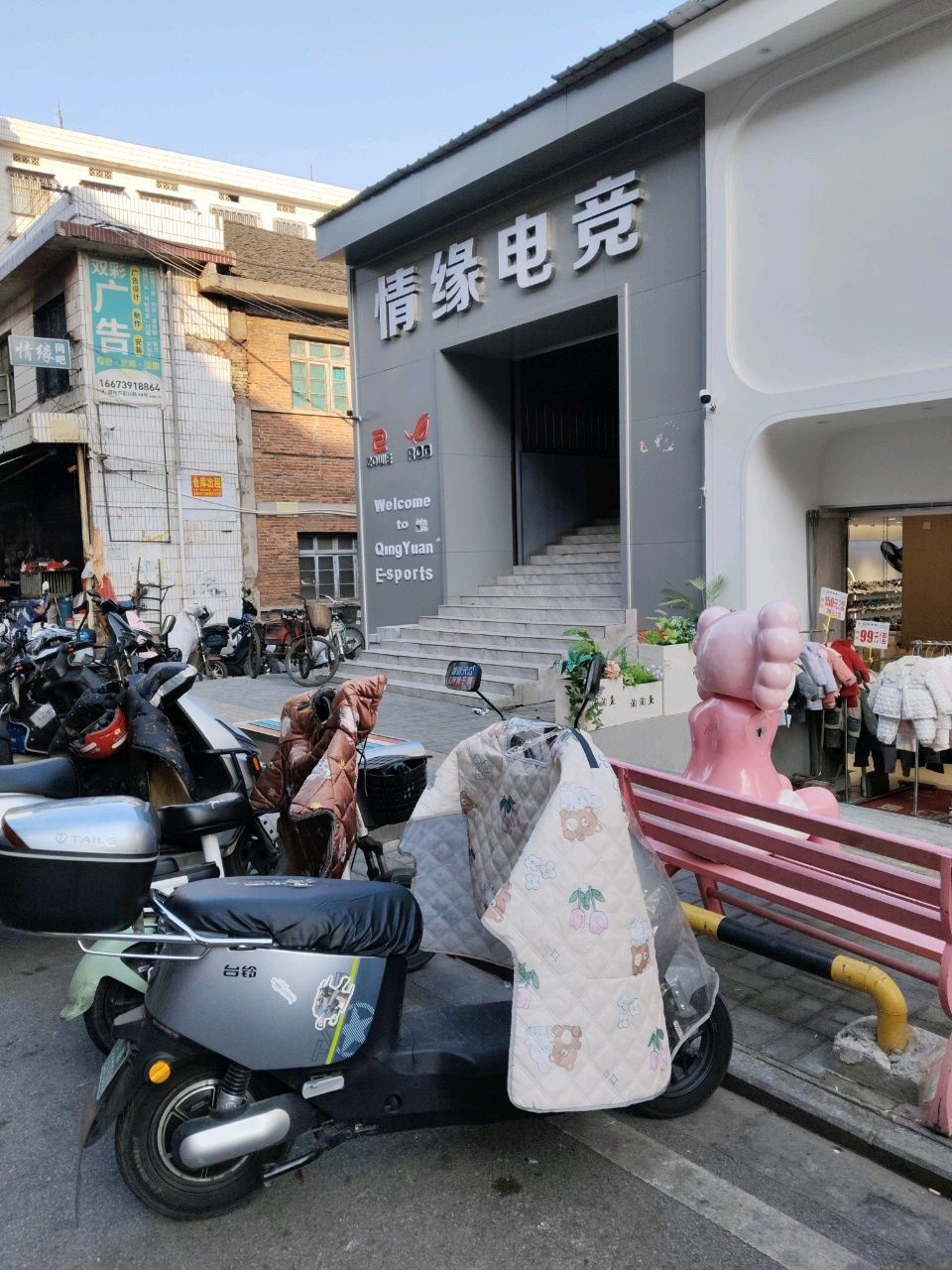 情缘电竞