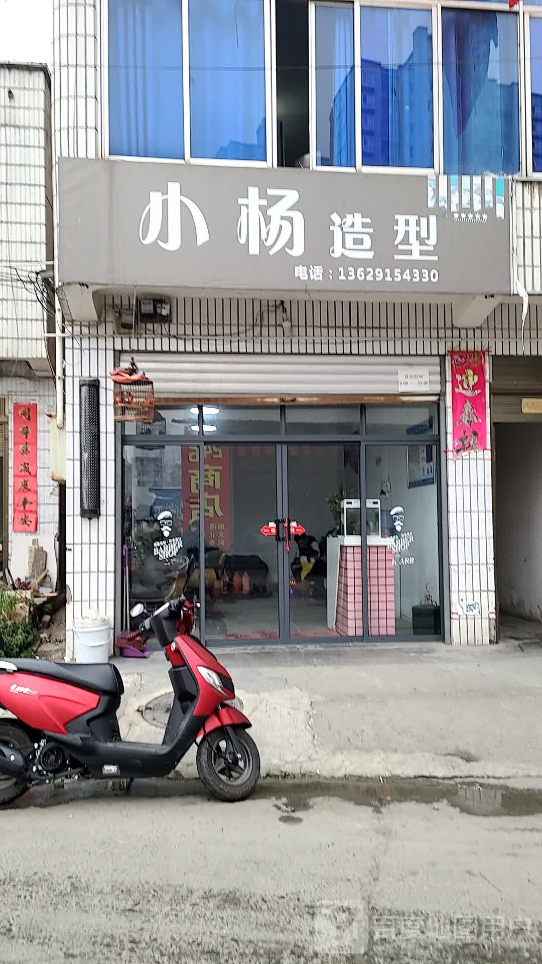 小杨涛造型