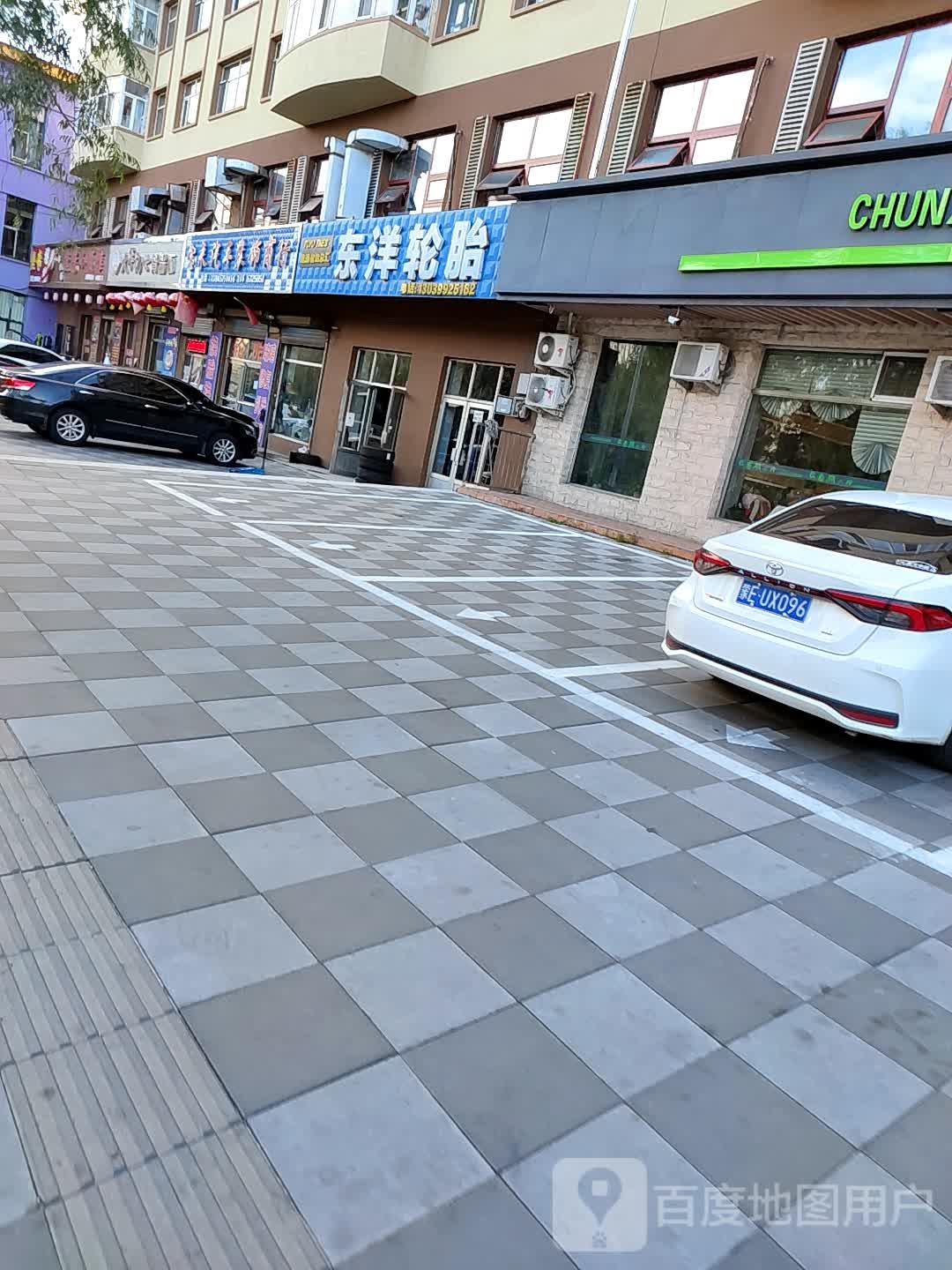 东洋轮胎(红旗大街店)