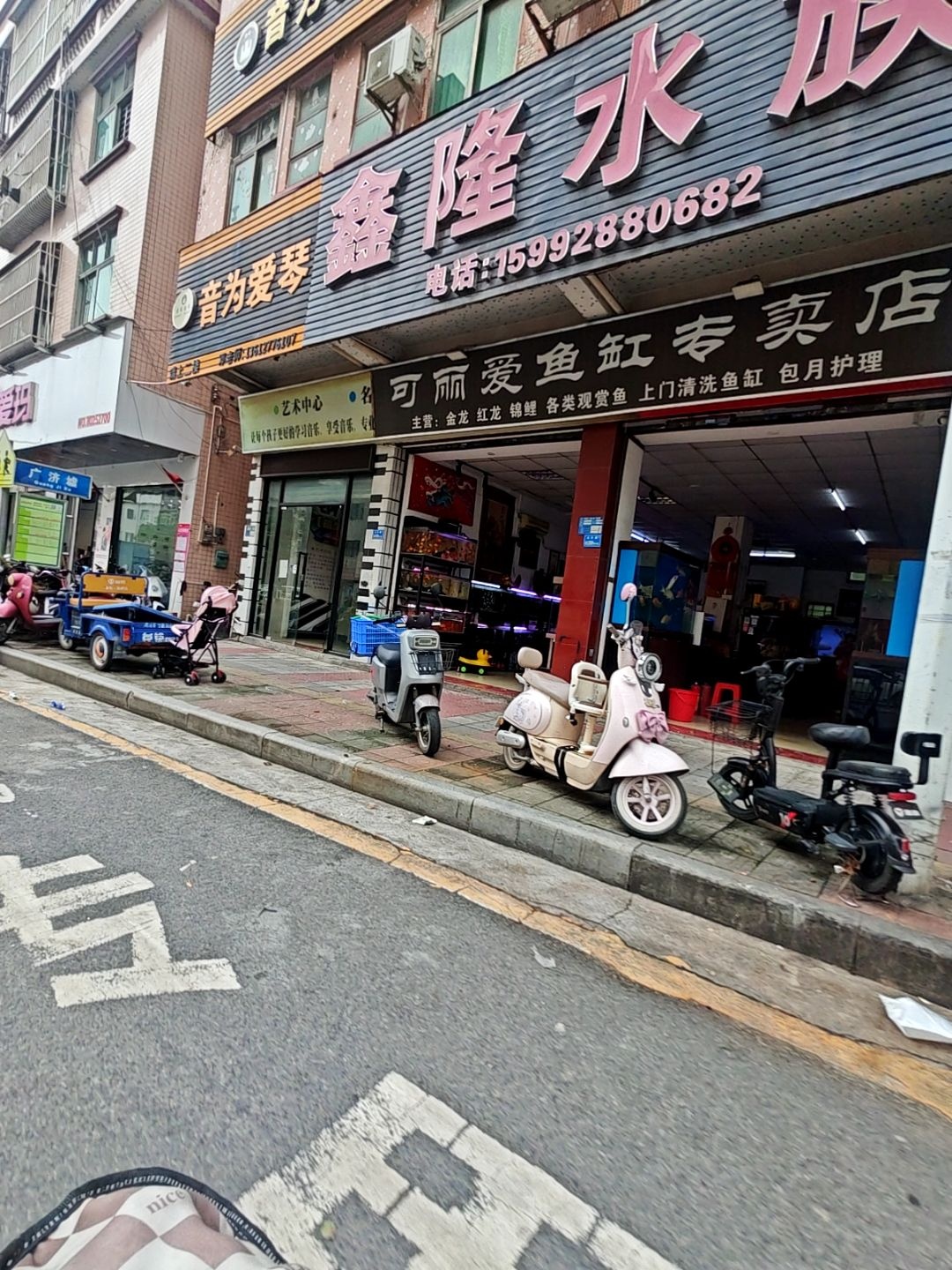 可丽爱鱼缸专卖店