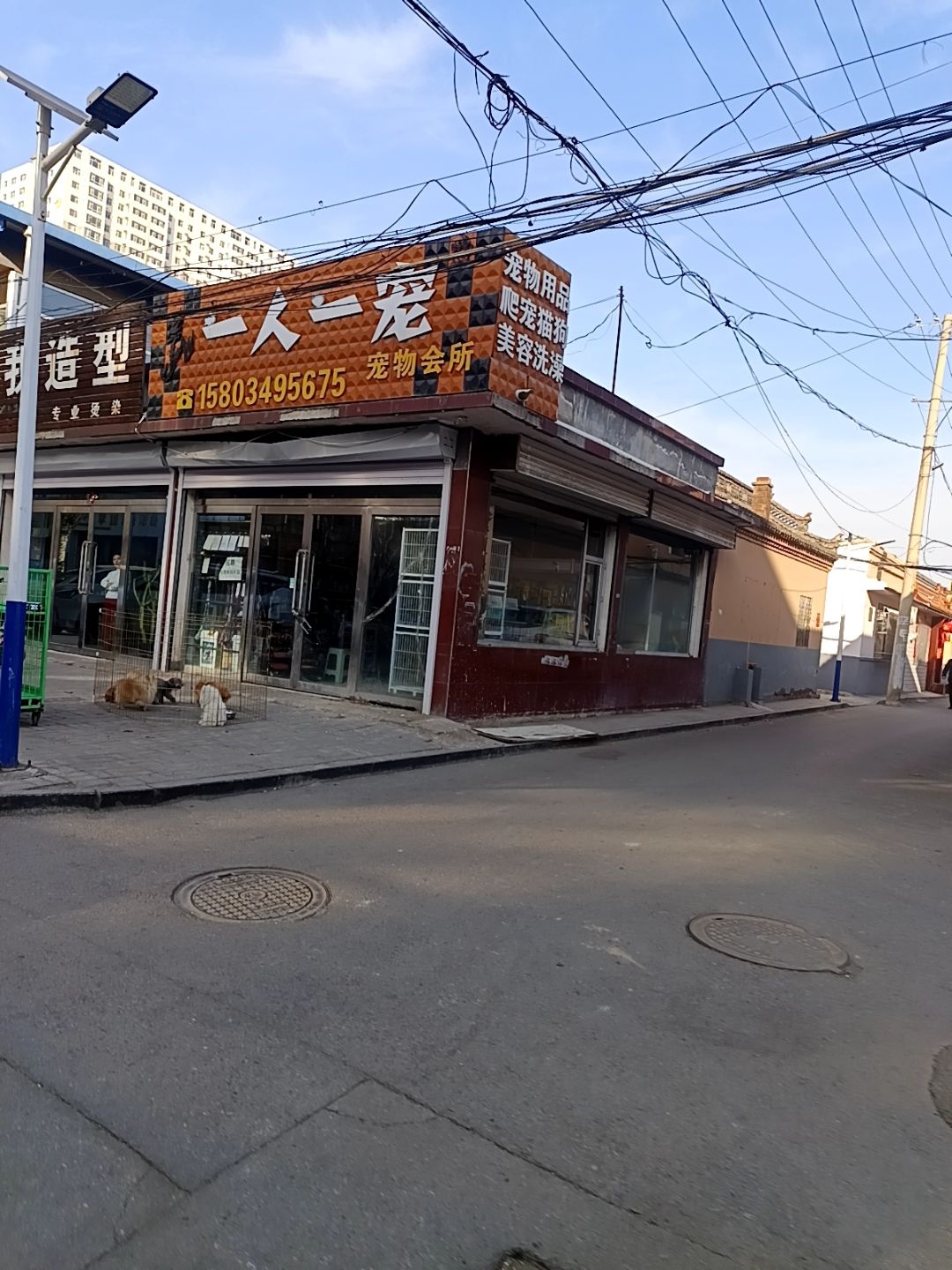 一人一宠宠物会所(康乐路店)