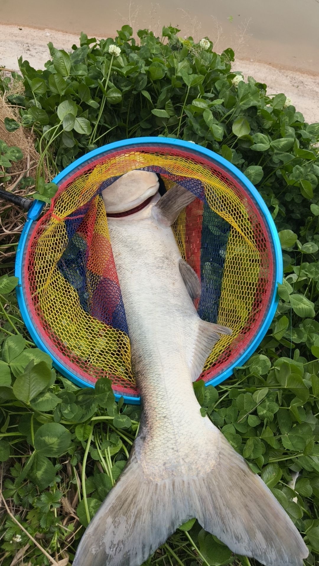 517垂钓中心
