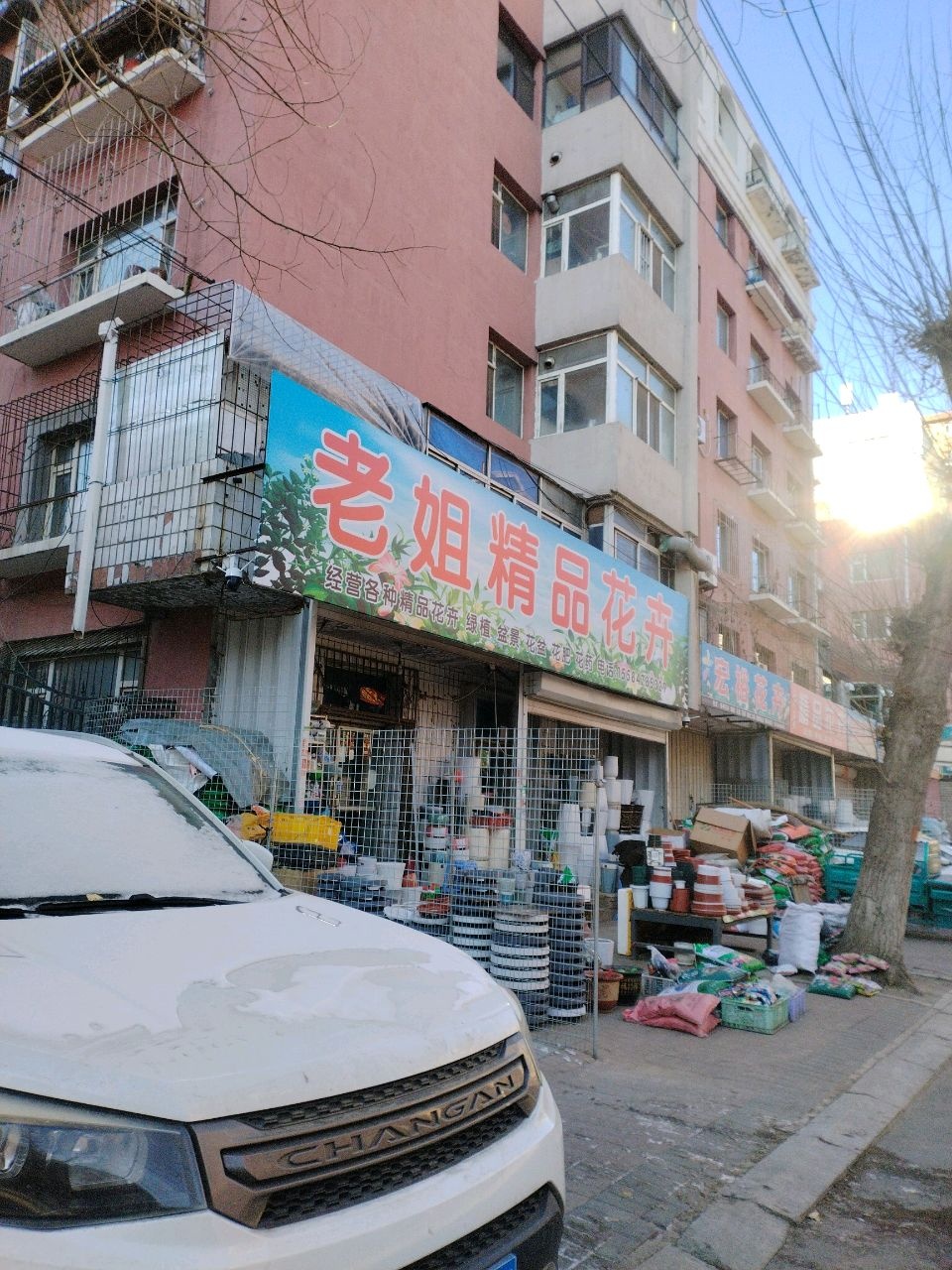 老姐精品花卉