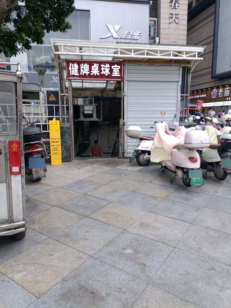 健牌桌球室
