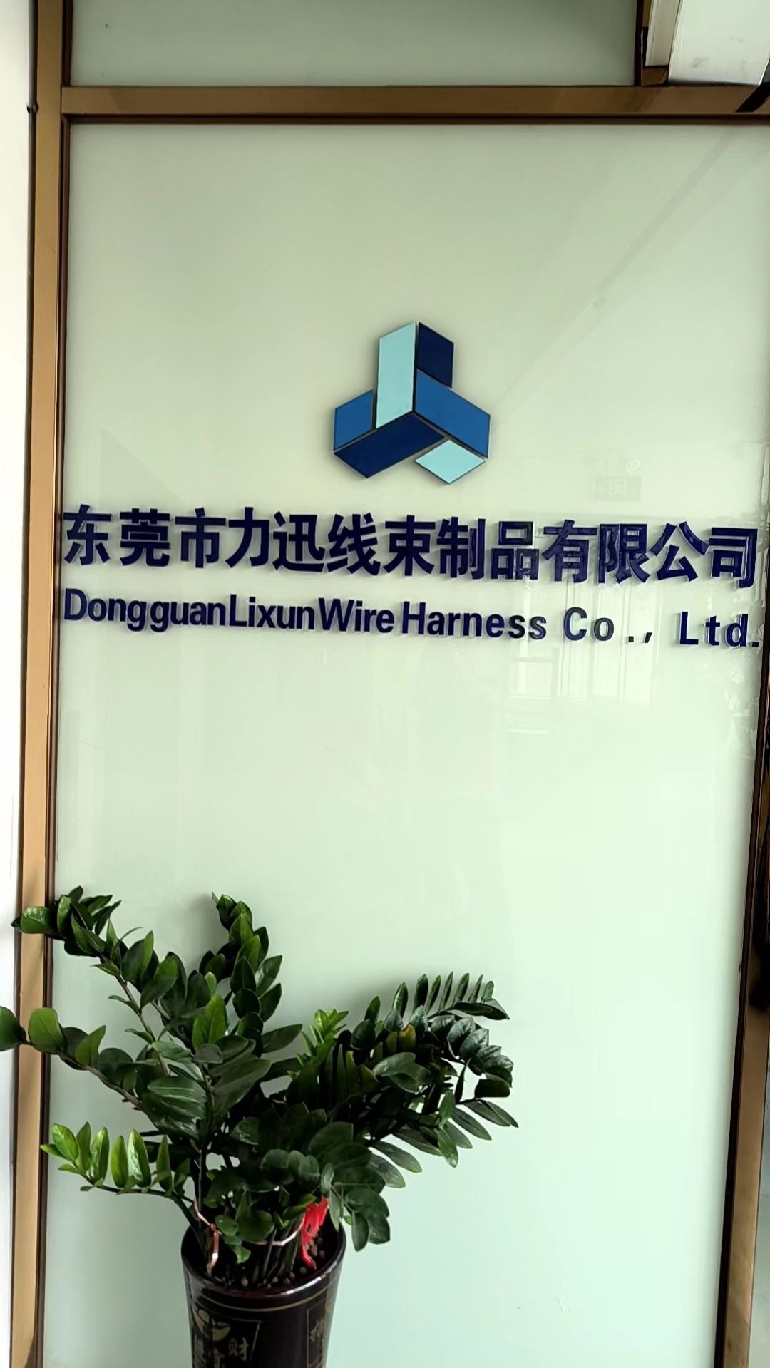 广东省东莞市力迅电子有限公司