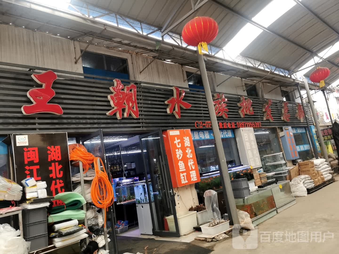 王朝水族批发总部