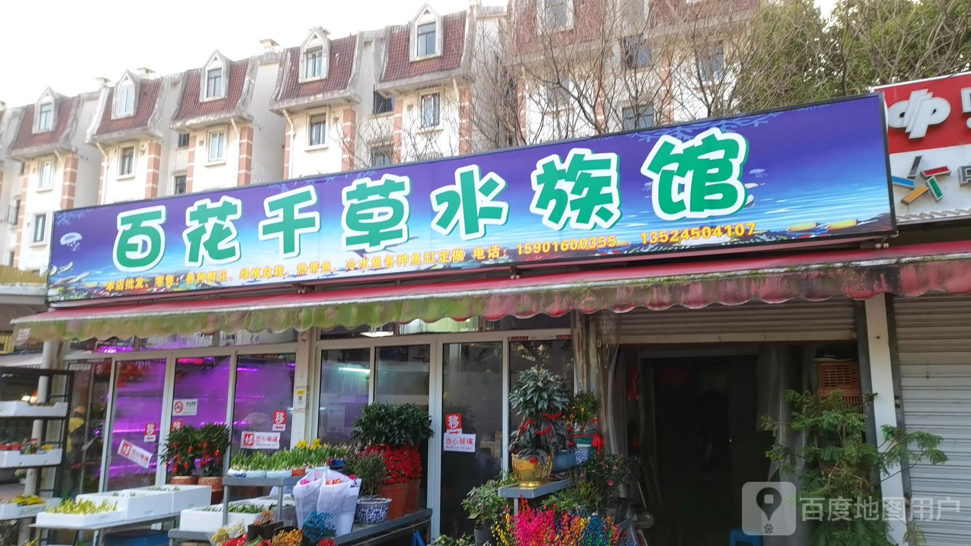百花千草水族馆