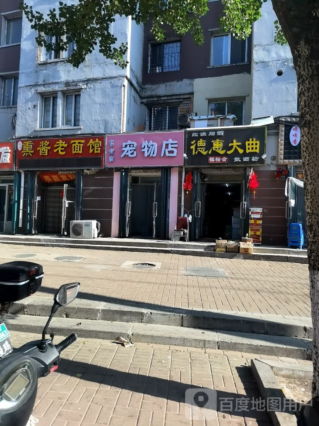 多米家宠物店