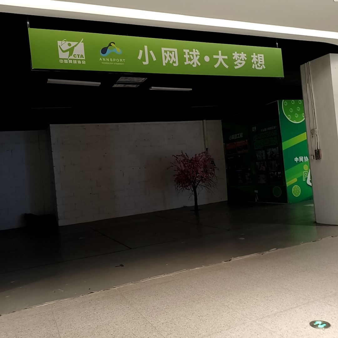 小网球·大梦想