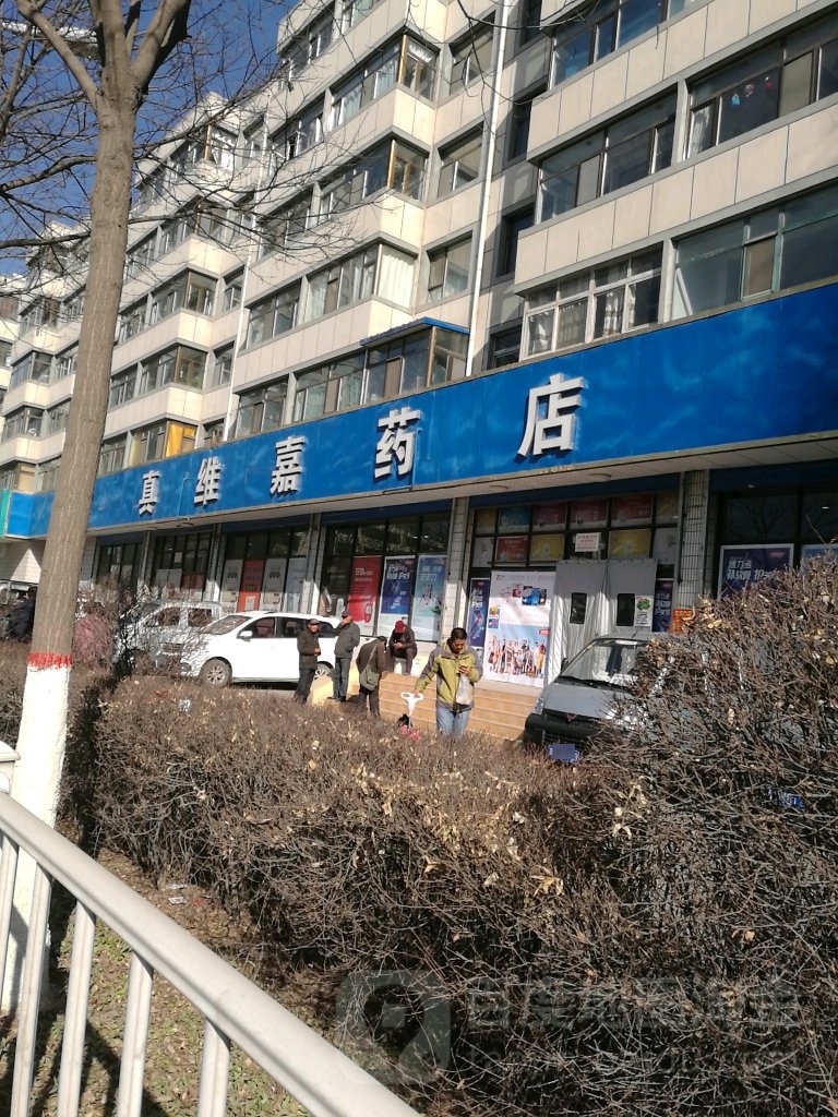 。真维嘉药店