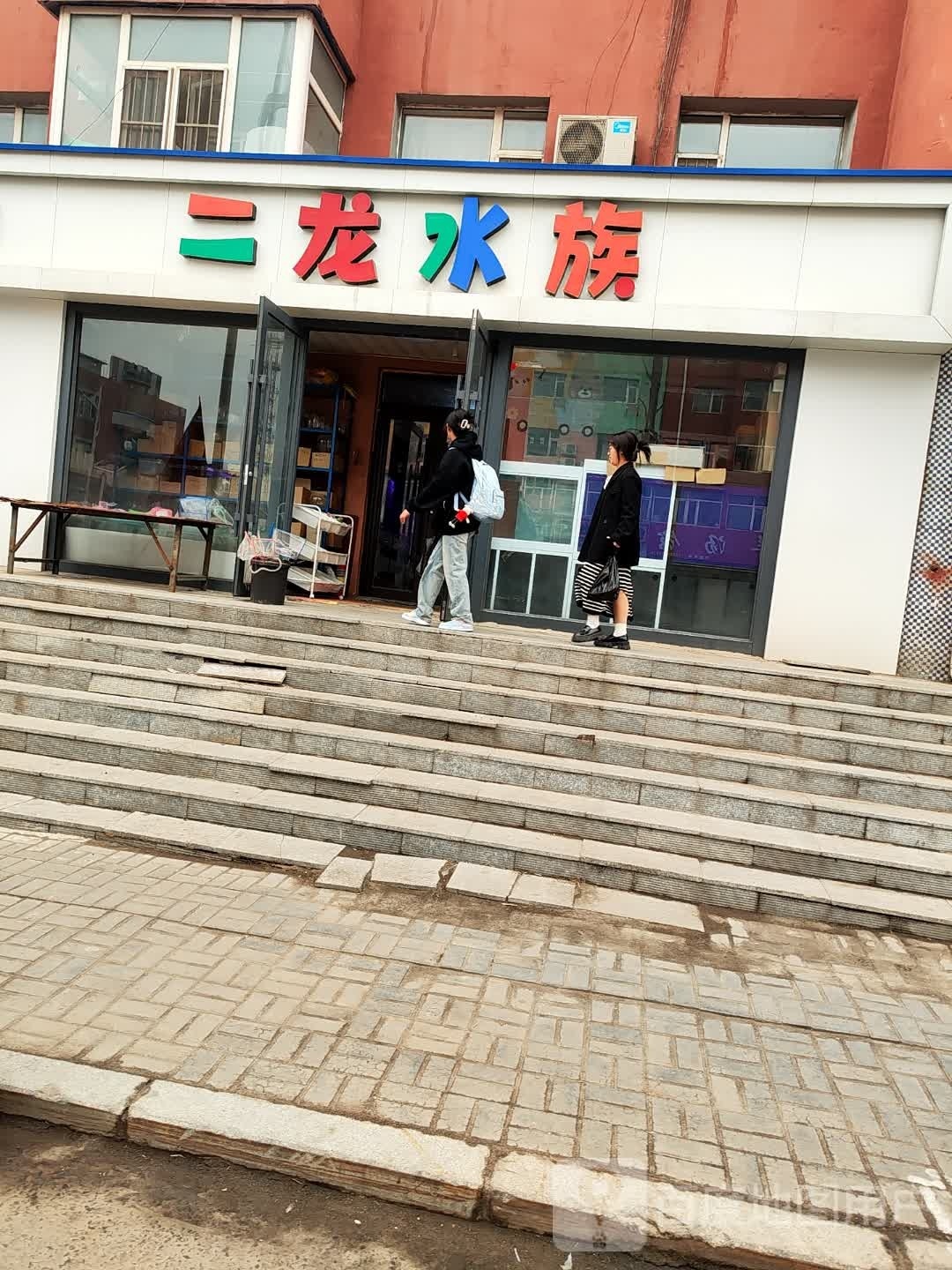 二龙水族