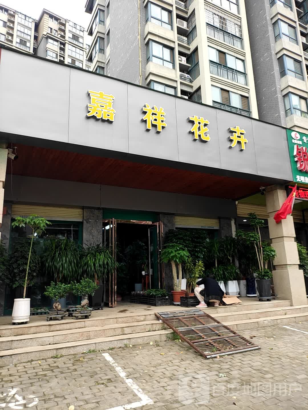 嘉强花卉(开封市西区开发区嘉祥花艺店)