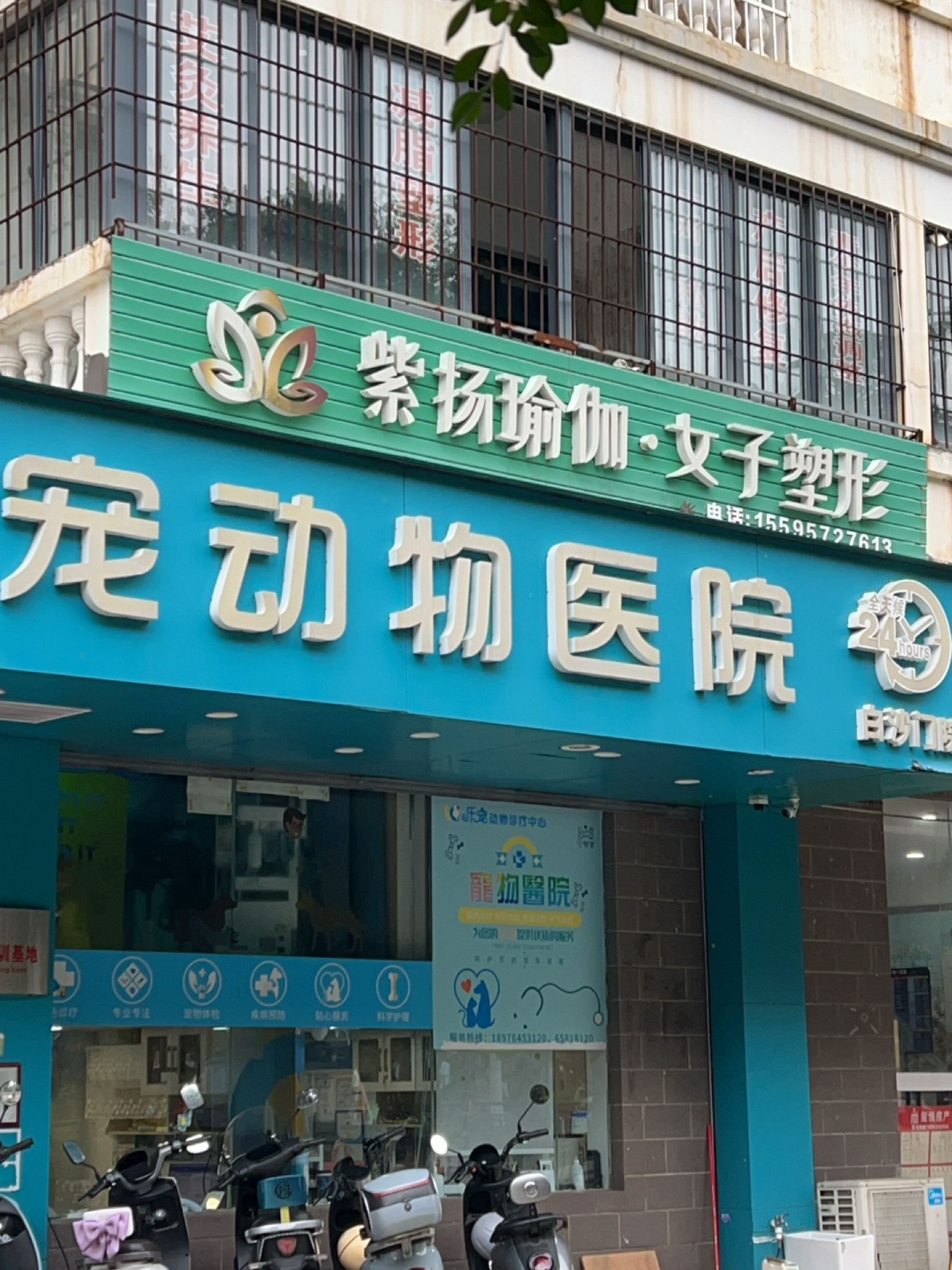 紫扬瑜伽·女子塑形
