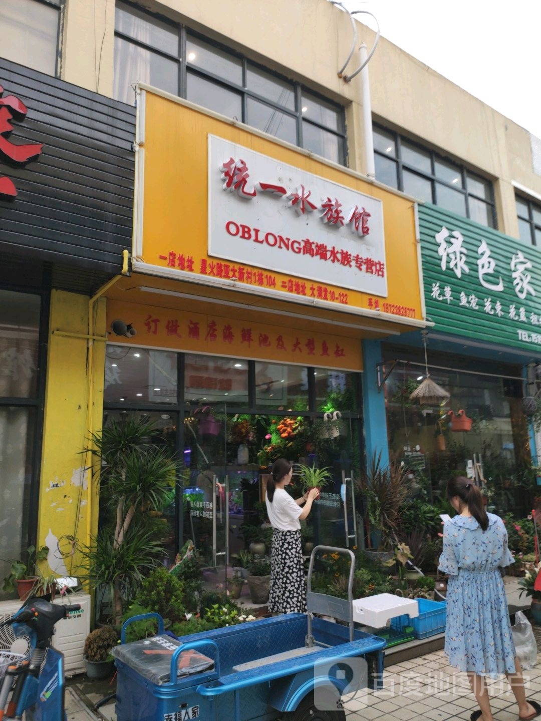 统一:水族馆