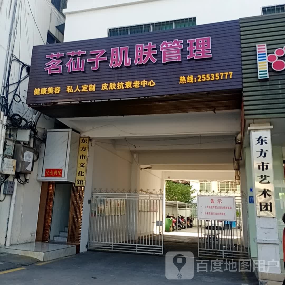 东方市艺术团