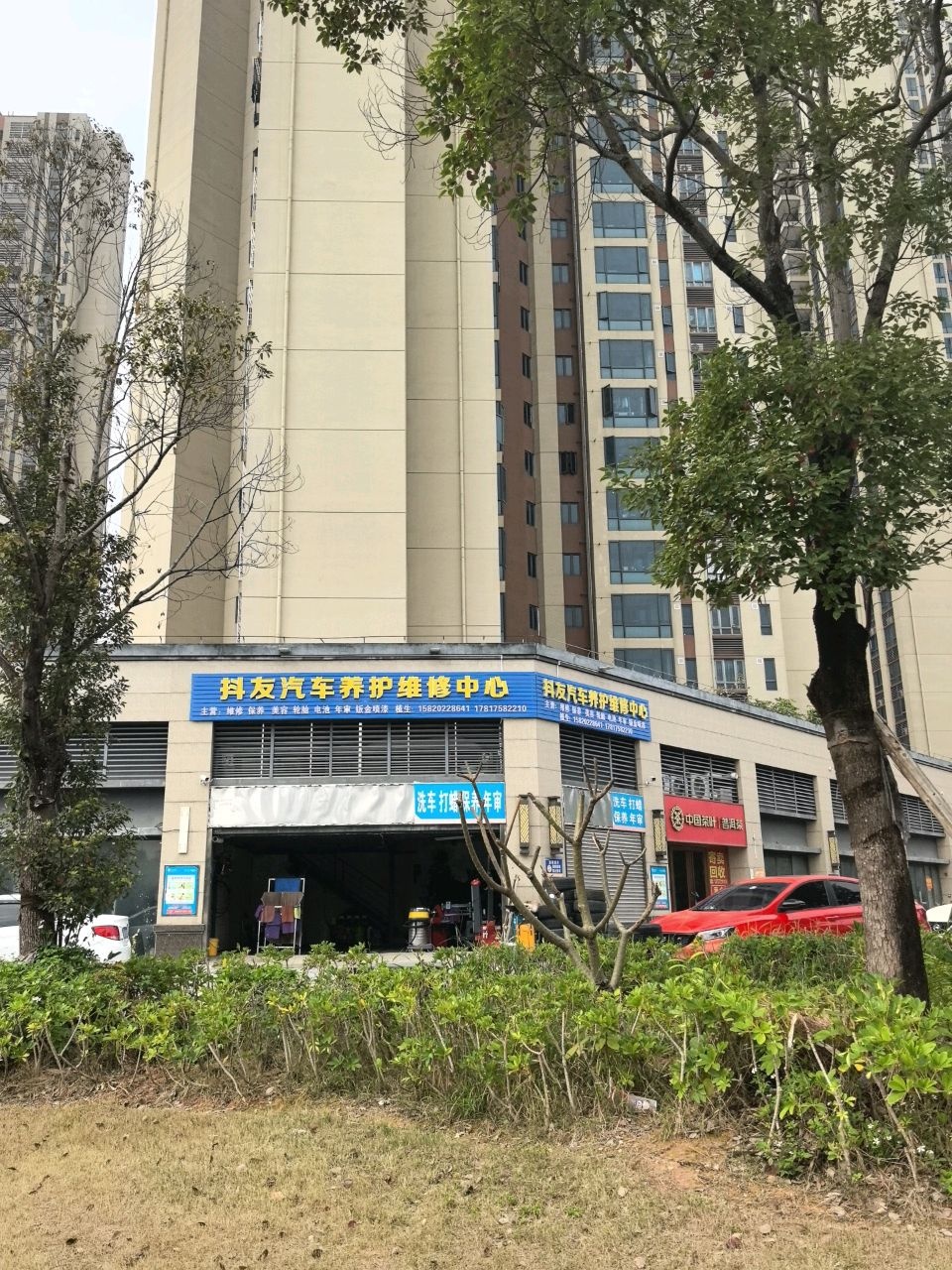 中国茶叶(鼎湖区店)