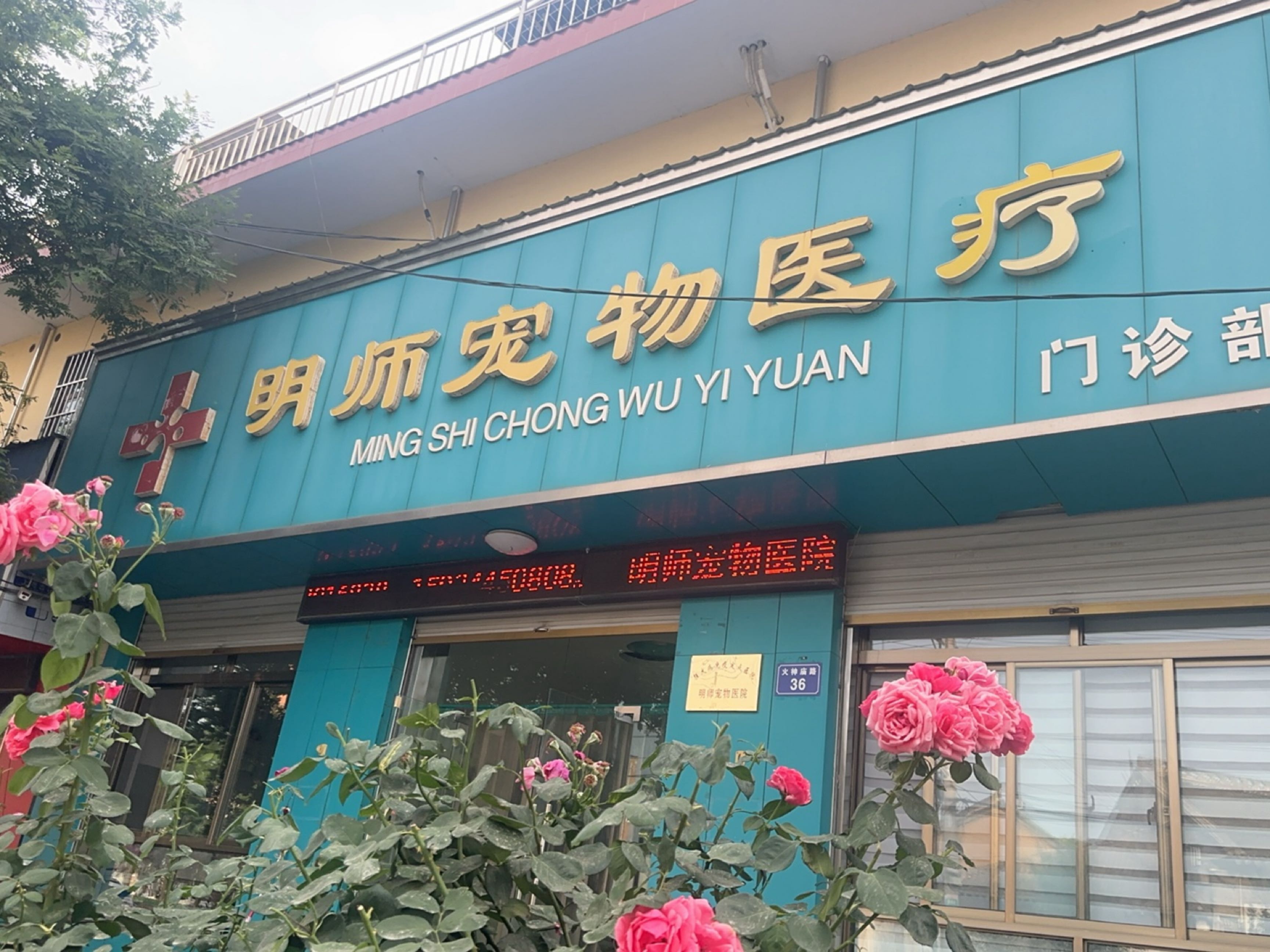 明师宠物医疗门诊部