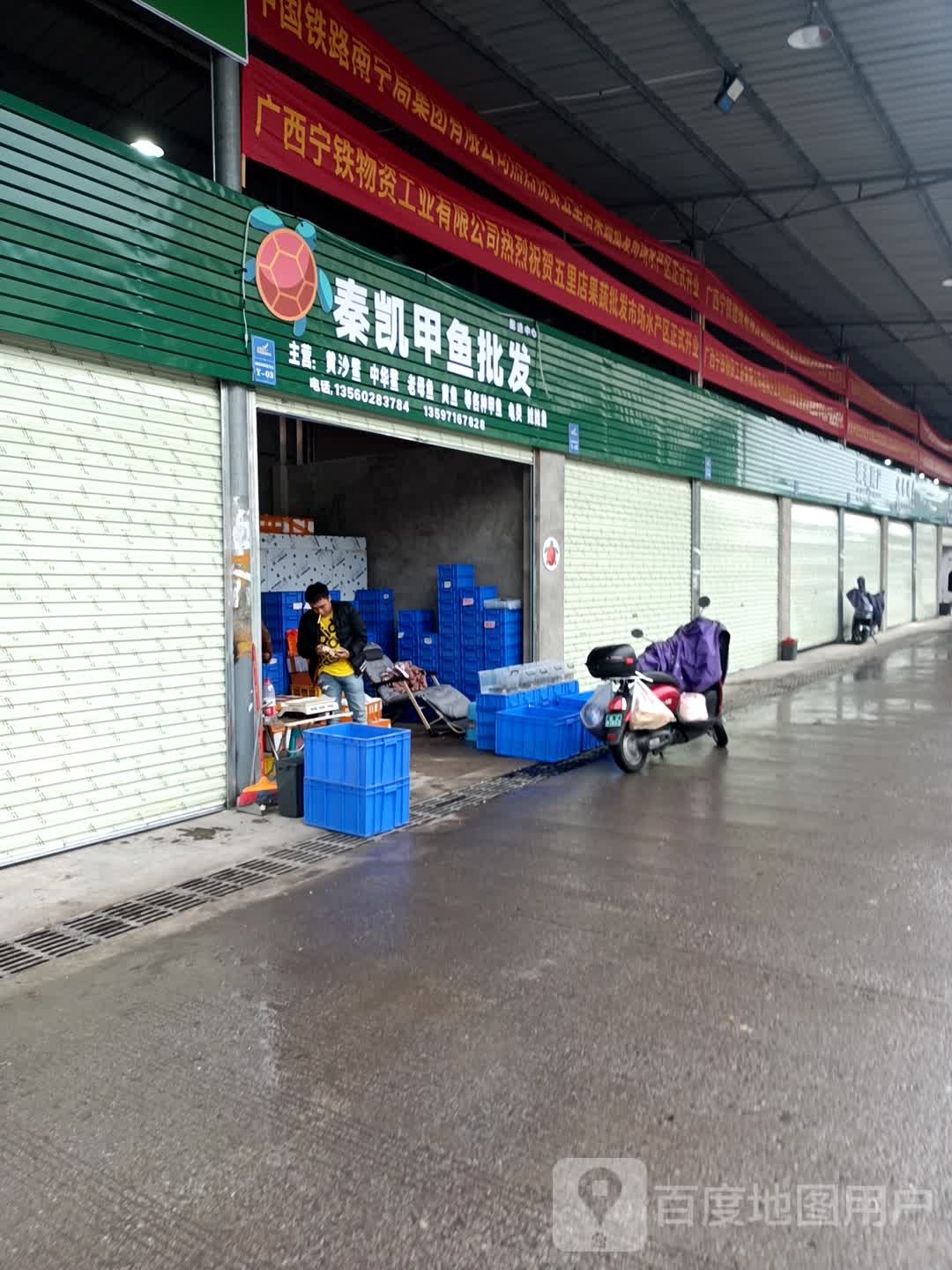 秦凯甲鱼批发
