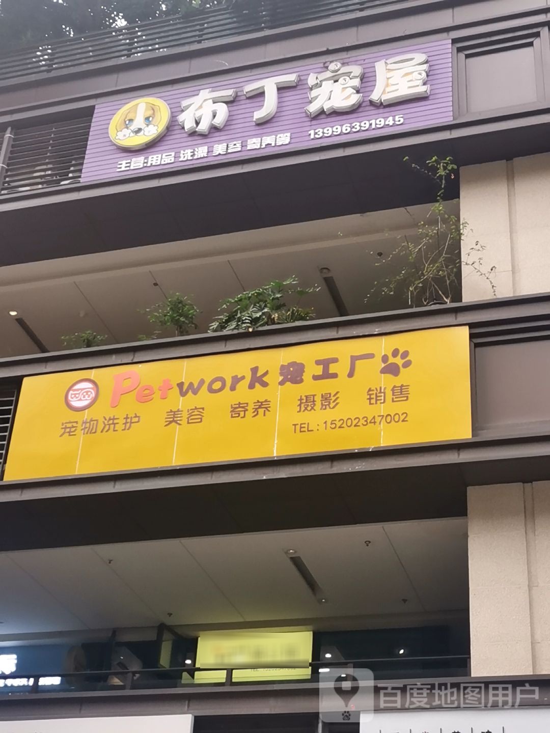 布丁宠物屋(龙湖源著天街店)