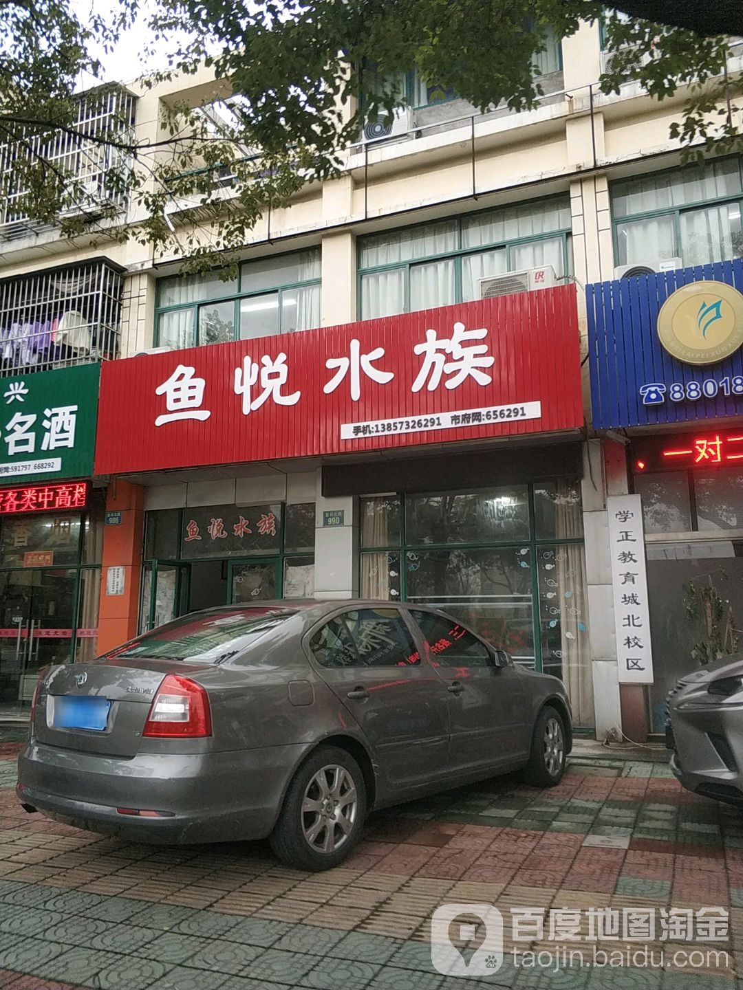 鱼悦水族(复兴北路店)