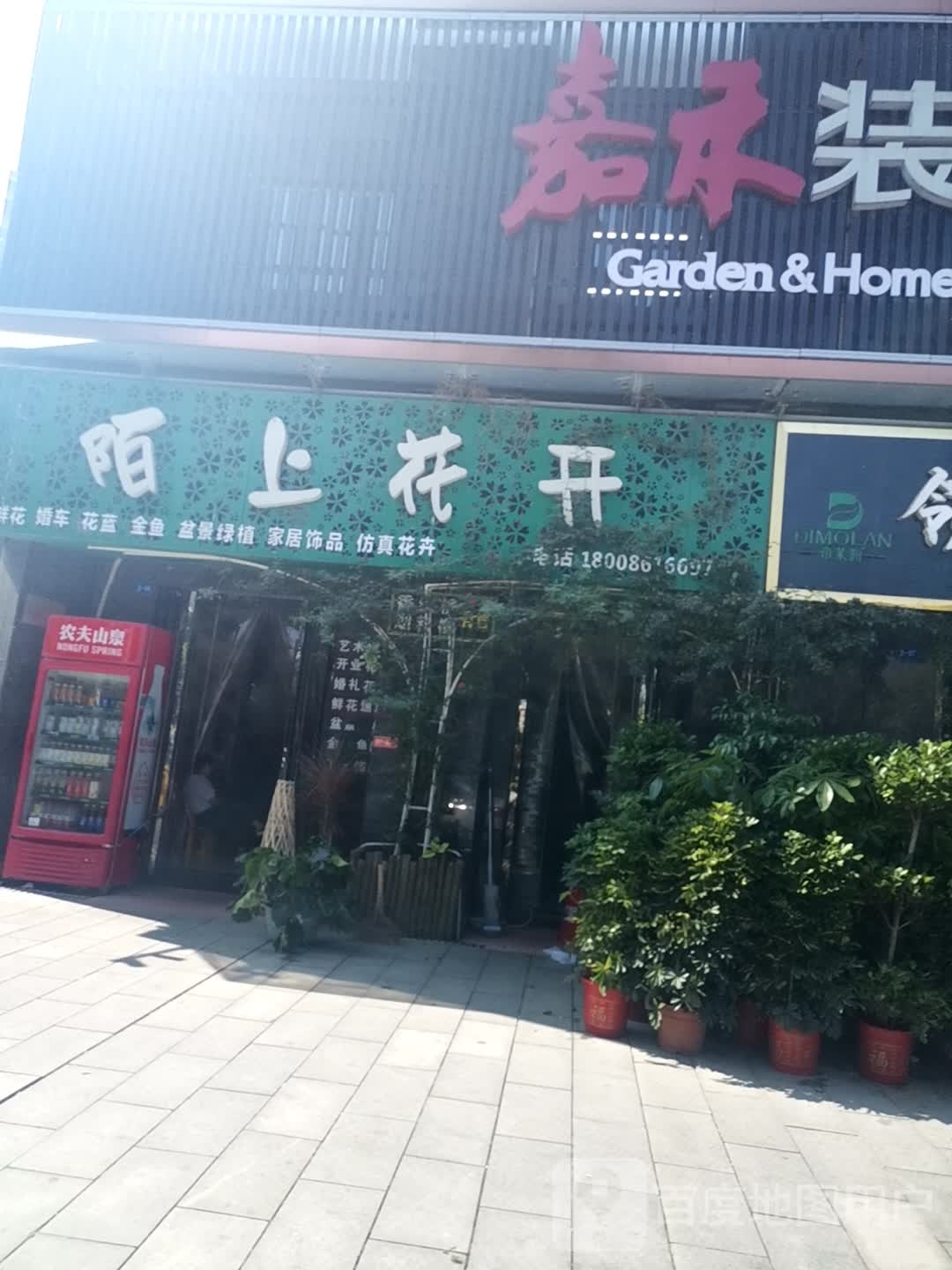 陌上花开鲜花店(罗田县广源大厦店)