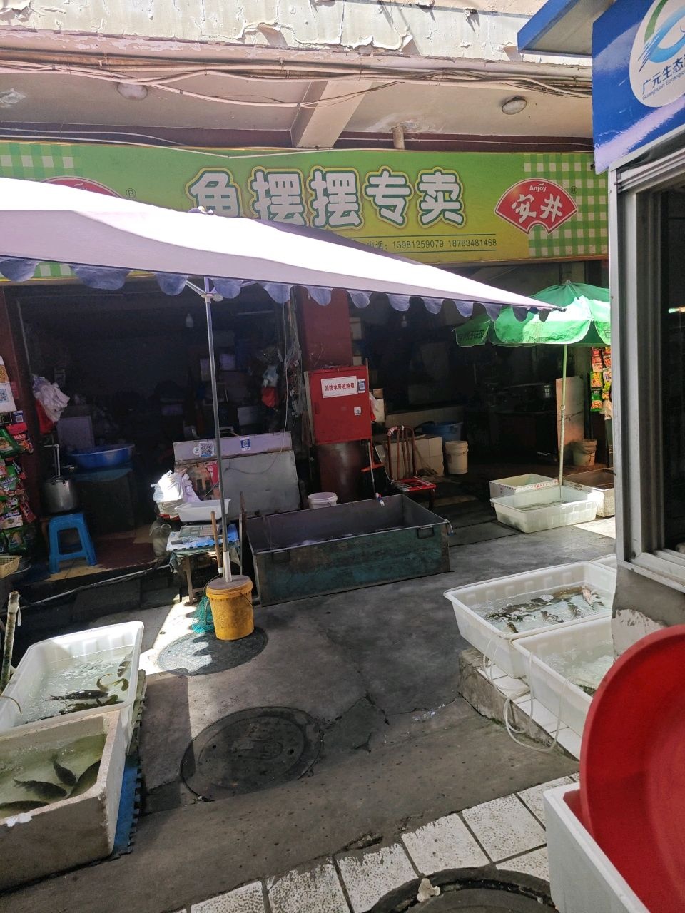 鱼摆摆专卖