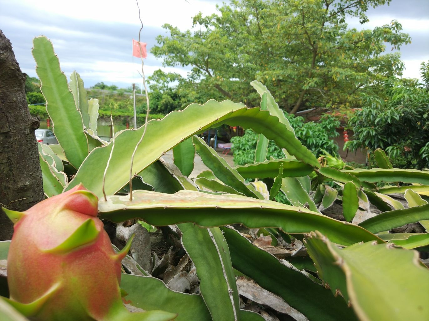 三木山庄农家菜餐馆环境