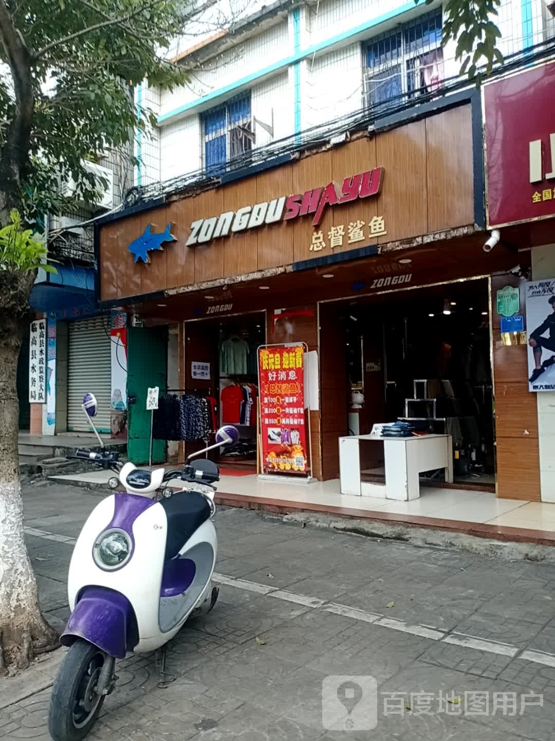 总督鲨鱼