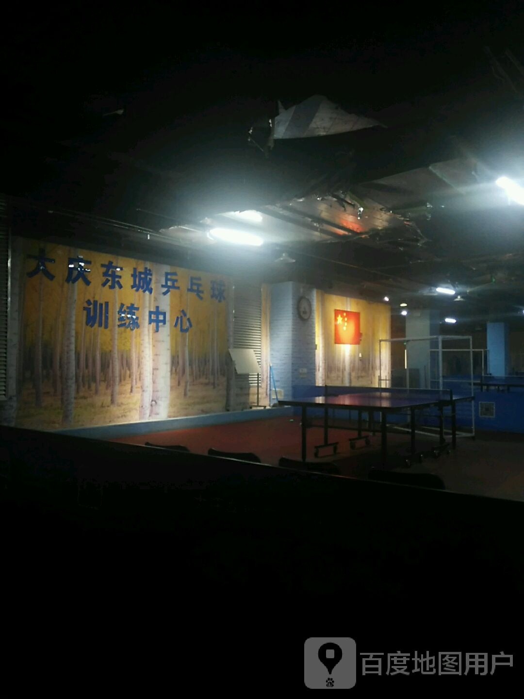 大庆东城镇乒乓球训练中心(世纪唐人购物公园店)