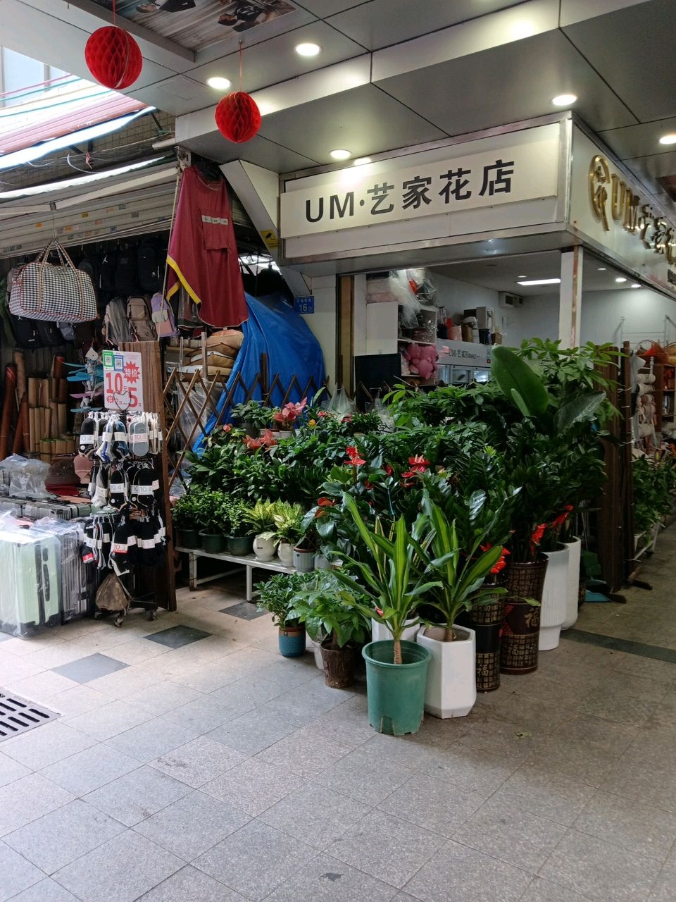 UM·艺家花店