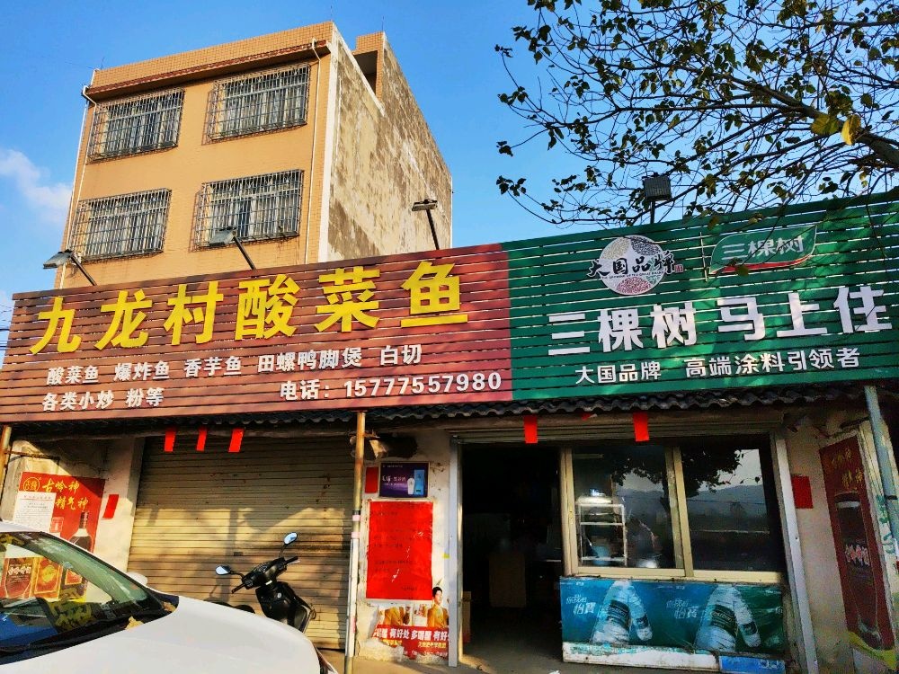 九龙村酸菜鱼