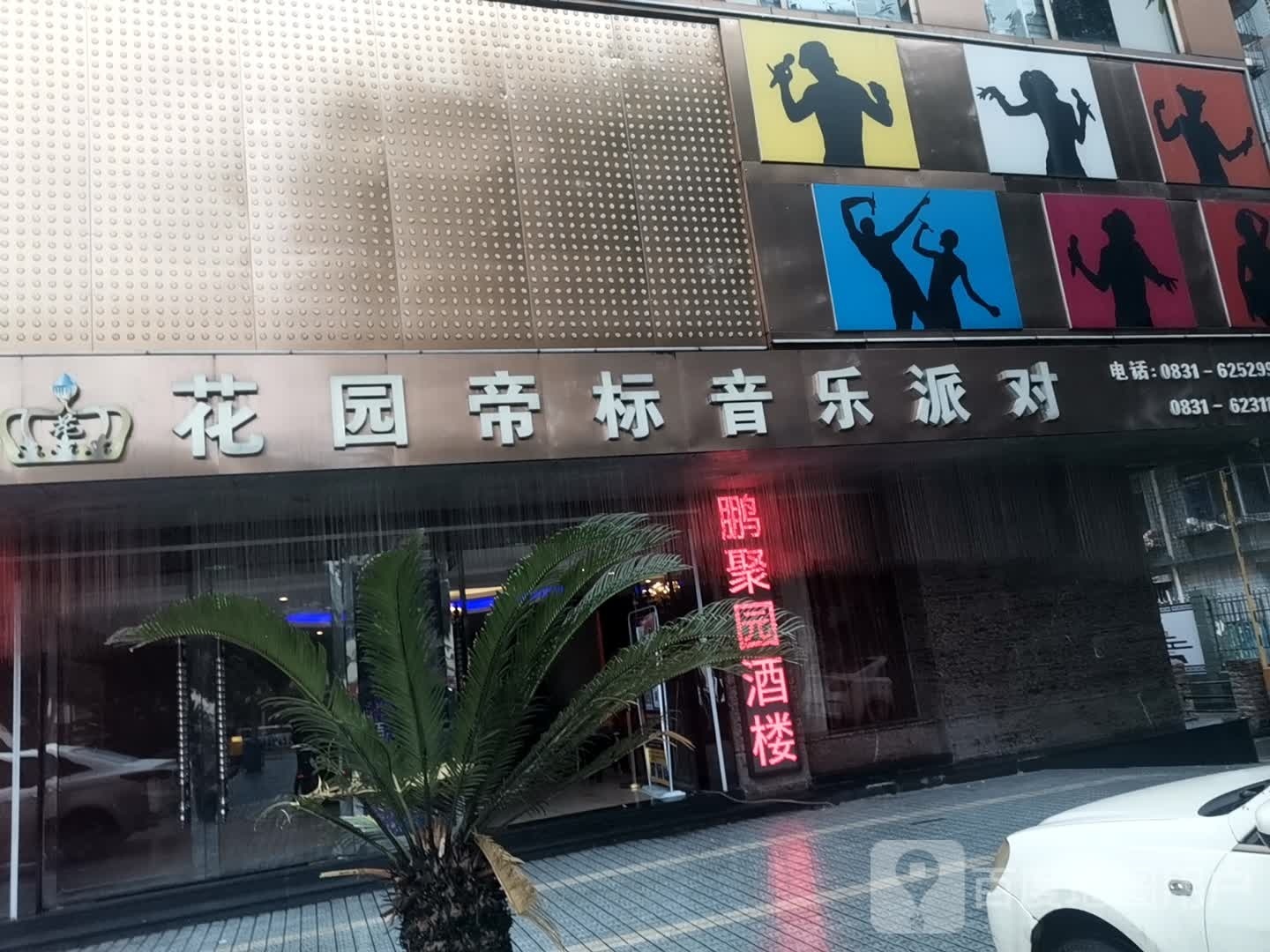 花园帝标音乐派对
