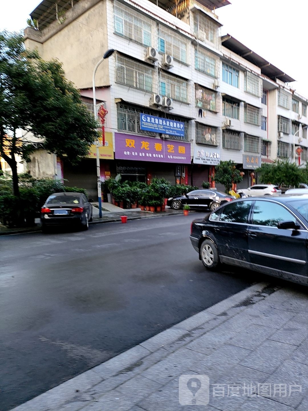 洞口县双龙春艺园