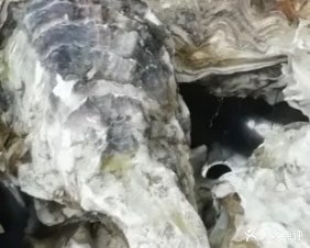 阿庆海鲜平价超市