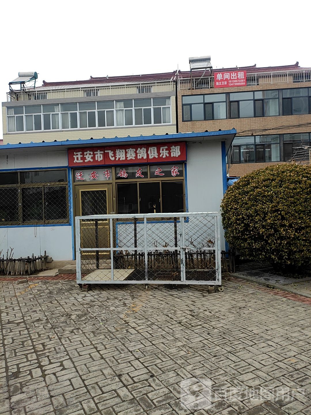 迁安市飞翔赛鸽俱乐部