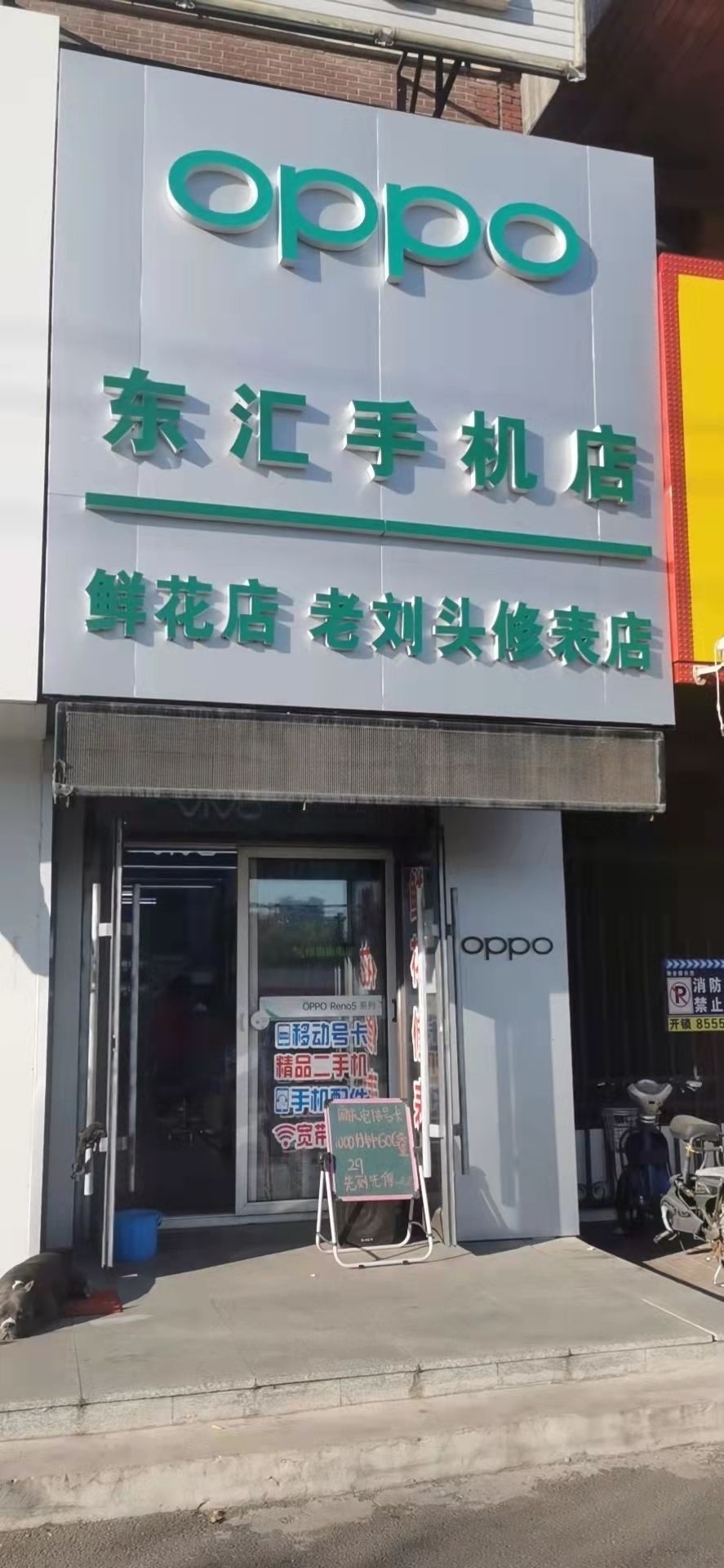 东汇鲜花