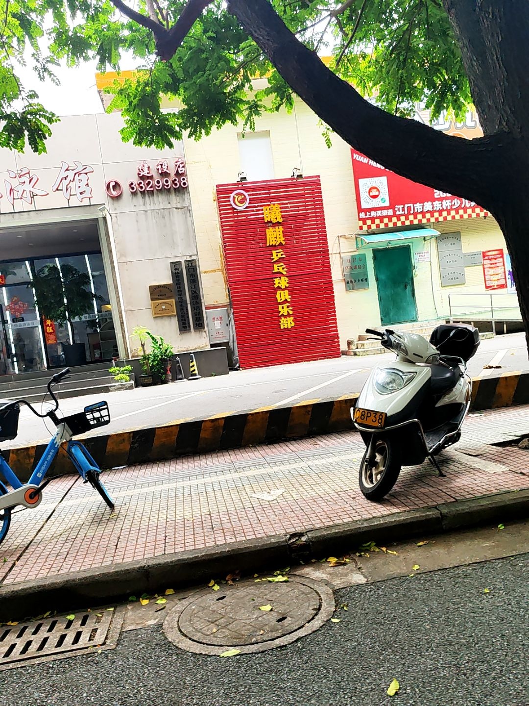 邑葵陈皮乒乓球俱乐部