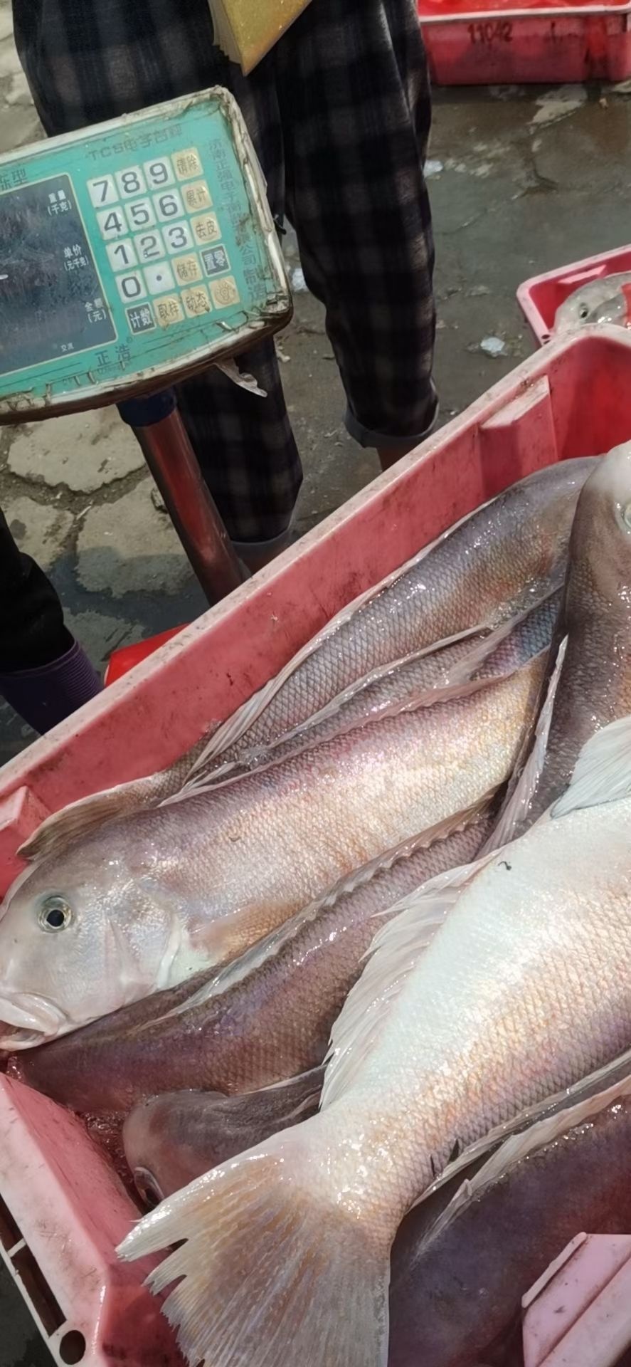 临美海鲜批发部